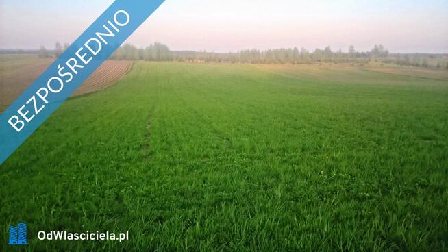 Mazury!!Stare Juchy .Działka 7500m- 37 złm2-