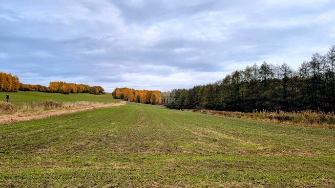 Działka rolna Zawada Uszewska gm. Gnojnik