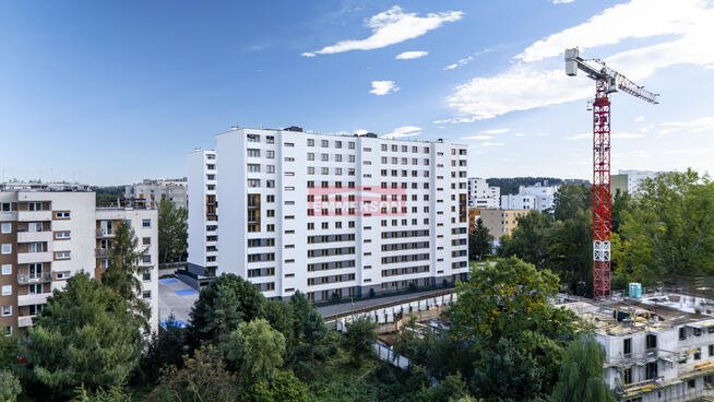 Widokowe w zielonej okolicy | Tramwaj