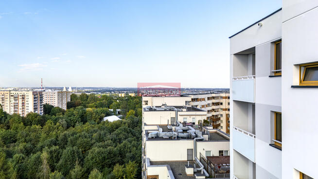 Widokowe w zielonej okolicy | Tramwaj