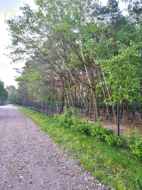 Działka leśna Altanka gm. Sochaczew,