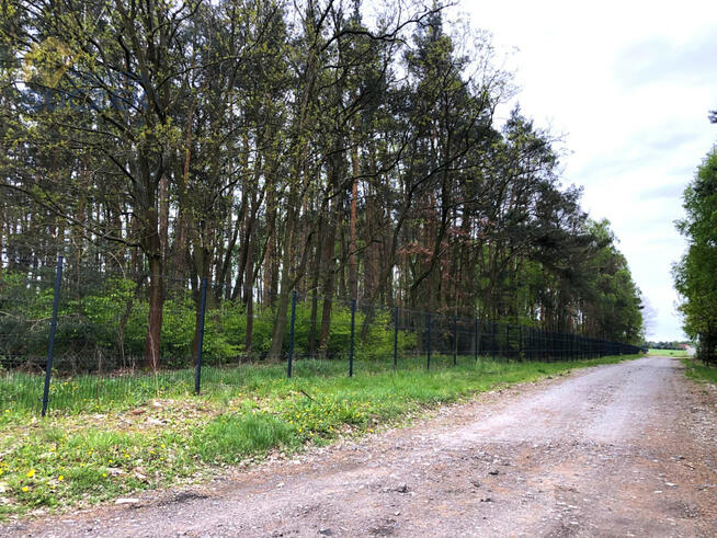 Działka leśna Altanka gm. Sochaczew,