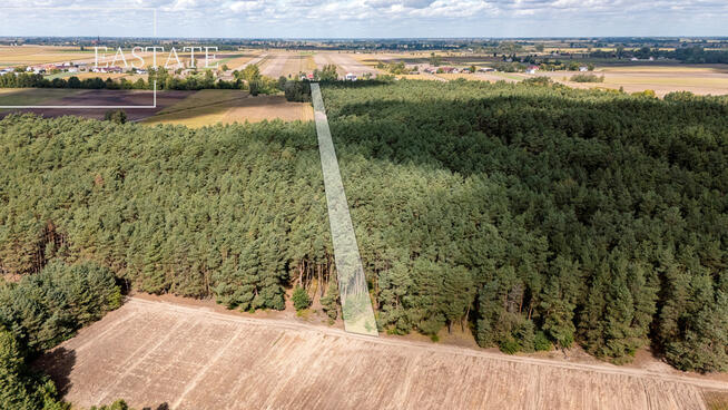 Działka leśna Maurzyce gm. Zduny,