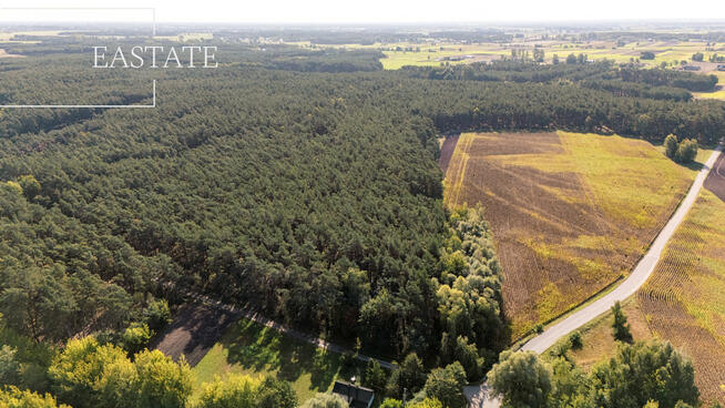 Działka leśna Maurzyce gm. Zduny,