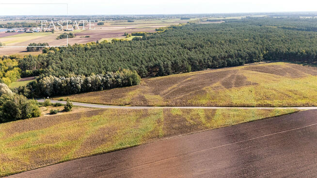 Działka leśna Maurzyce gm. Zduny,