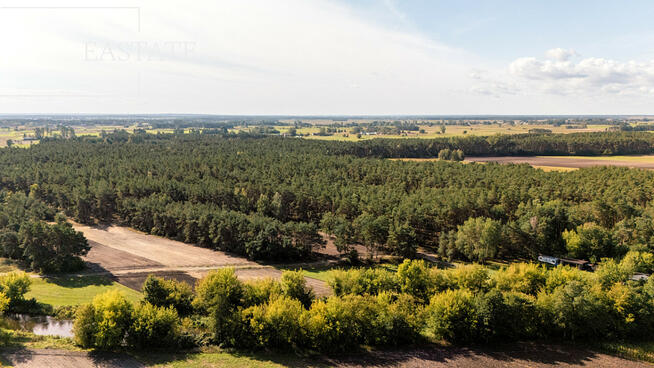 Działka leśna Maurzyce gm. Zduny,