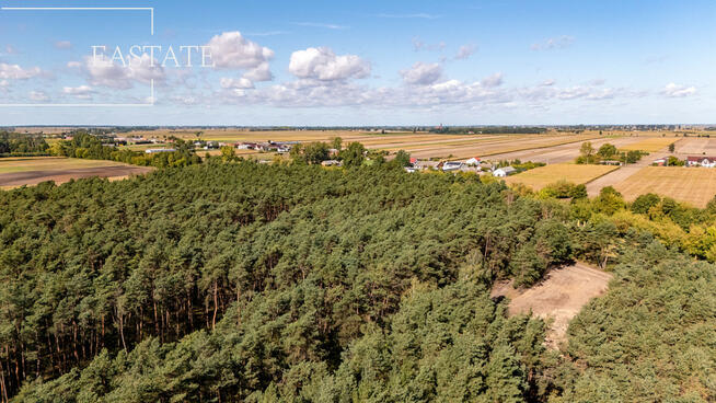 Działka leśna Maurzyce gm. Zduny,