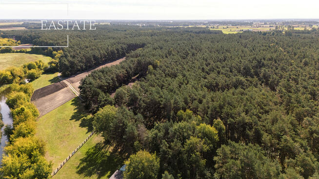 Działka leśna Maurzyce gm. Zduny,