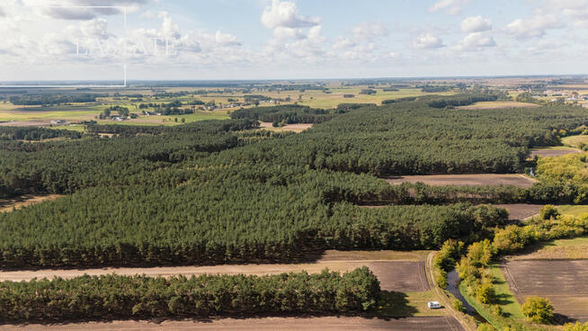 Działka leśna Maurzyce gm. Zduny,
