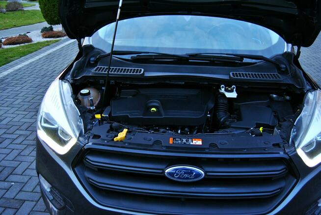 Ford Kuga NAVI-PL * Kamera cof. * Klima tronik x 2 * Park tronik * LEDY * Rej-pL