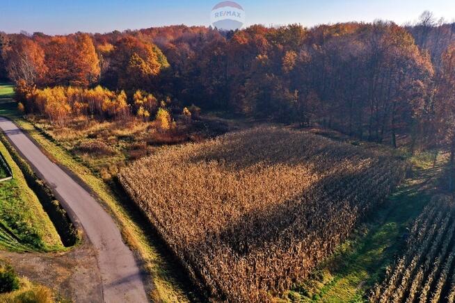 Grunt rolny do zabudowy