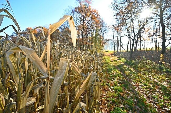 Grunt rolny do zabudowy