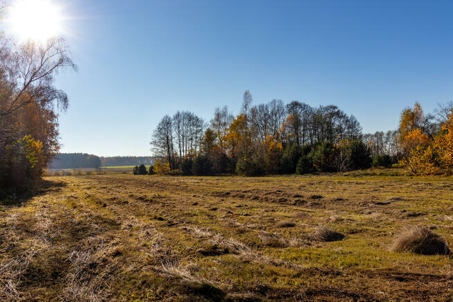 Działka rolno-budowlana Stare Krasnodęby gm. Aleksandrów Łódzki