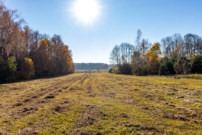 Działka rolno-budowlana Stare Krasnodęby gm. Aleksandrów Łódzki