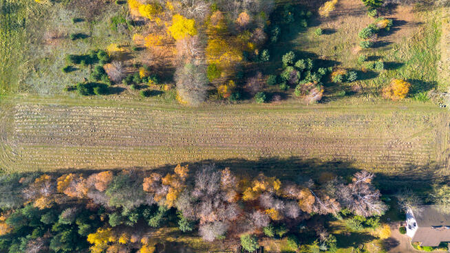 Działka rolno-budowlana Stare Krasnodęby gm. Aleksandrów Łódzki