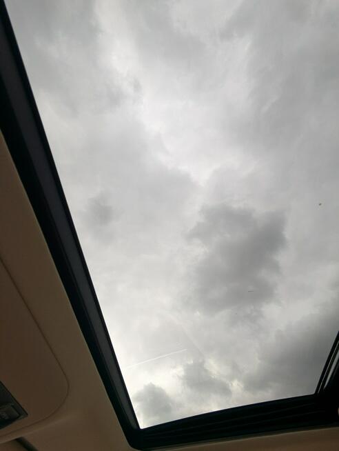 LS 460 V8 4x4 (AWD)/zarejestrowany w Polsce