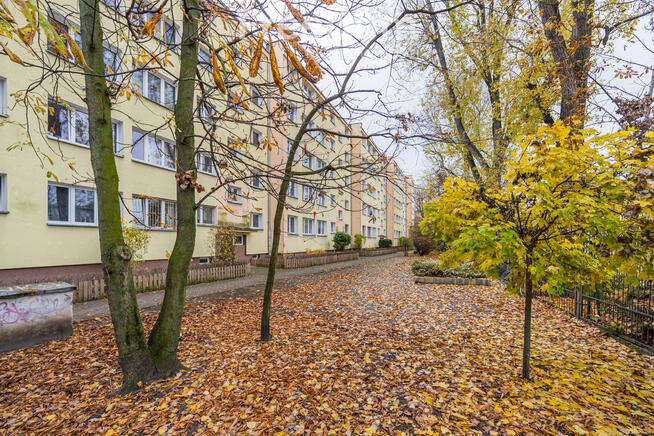 Kawalerka z osobną kuchnią – Grochów, Kordeckiego