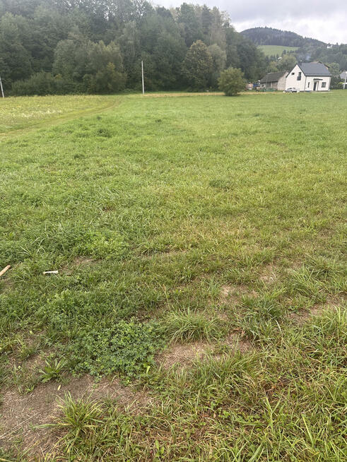 Działka rolna Popowice gm. Stary Sącz