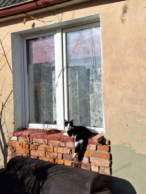 Dom Rzecino gm. Rąbino Biernów