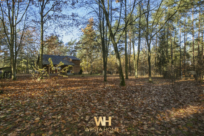 Dom Podsmardzewo gm. Sochocin,