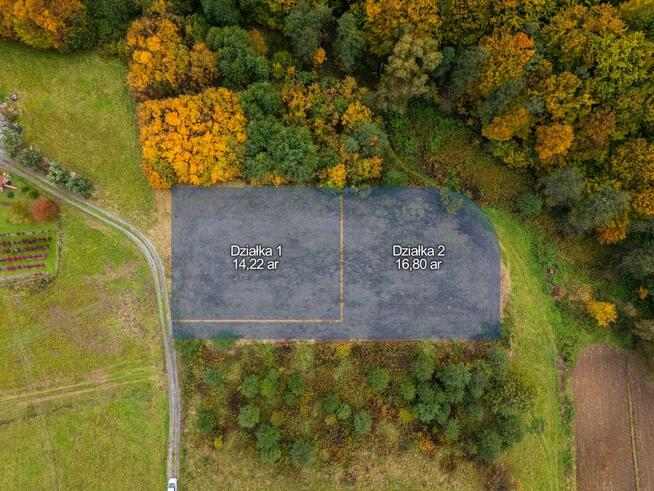 Działka pod lasem 16,80 ar z warunkami zabudowy