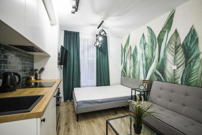 Przytulna kawalerka w centrum Katowic / Internet