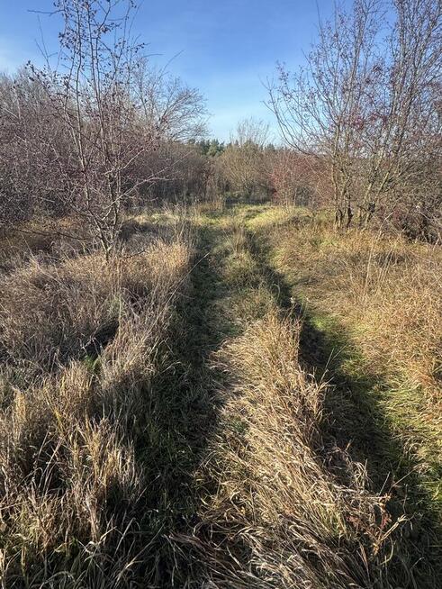 Twój wymarzony punkt widokowy w Przemyślu – dz. rekreacyjna