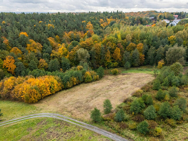 Działka pod lasem 16,80 ar z warunkami zabudowy