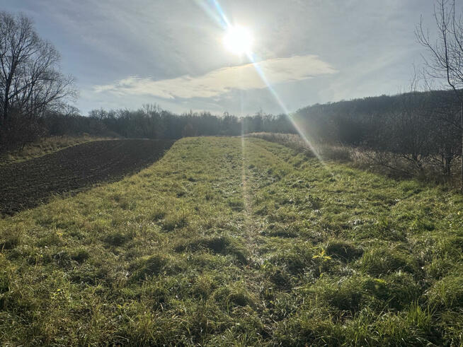 Sprzedam działkę nr 651, obręb 216 – łączna powierzchnia