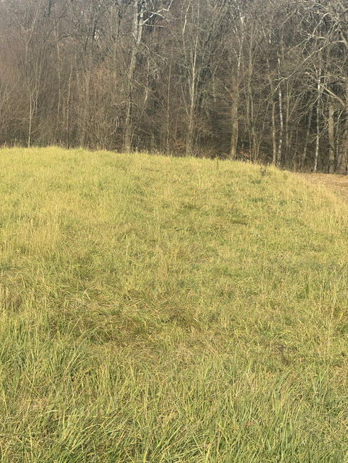 Sprzedam działkę nr 651, obręb 216 – łączna powierzchnia