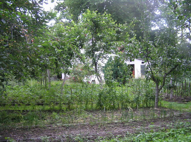 Sprzedam działkę budowlaną z domem całorocznym przy lesie