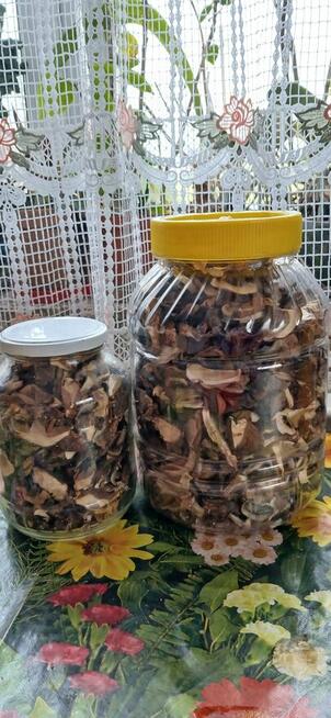 Sprzedam tegoroczne suszone grzyby