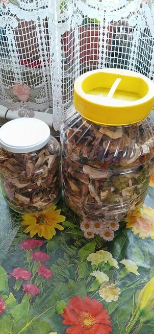 Sprzedam tegoroczne suszone grzyby