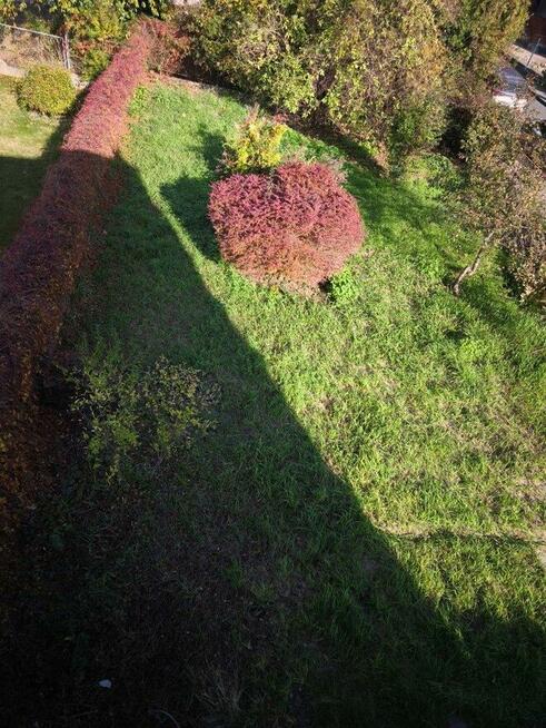 Katowice Koszutka. Dom do sprzedaży