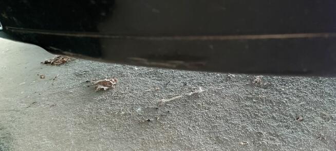 Sprzedam Audi A3 Sportback (s-line)