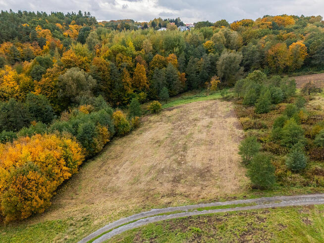 Działka pod lasem 16,80 ar z warunkami zabudowy