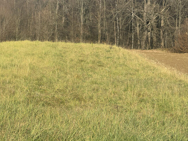 Sprzedam działkę nr 651, obręb 216 – łączna powierzchnia