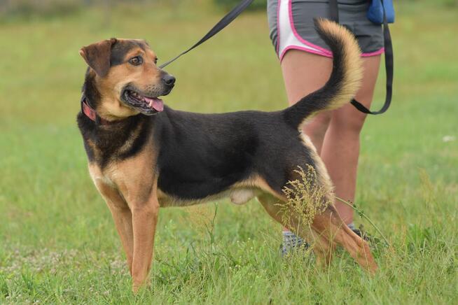 Kruger - czuły i oddany