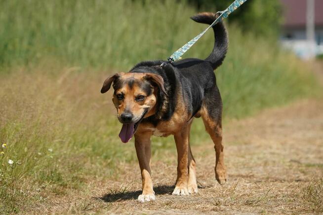 Kruger - czuły i oddany