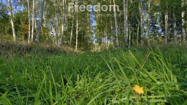 Malownicza działka z zagajnikiem na Mazurach-3957m