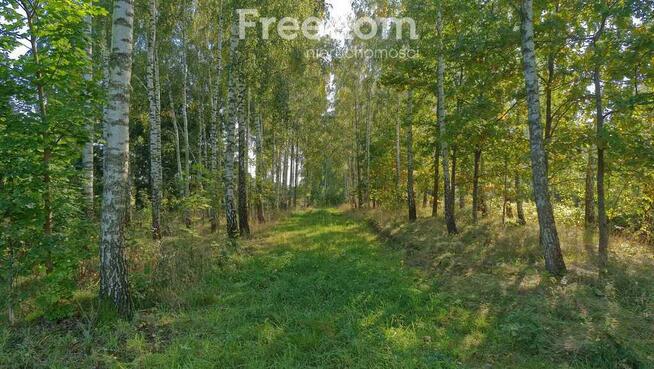 Malownicza działka z zagajnikiem na Mazurach-3957m