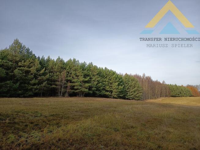 Działka leśna w Chłopowie 3,24 ha , 230 tys.!