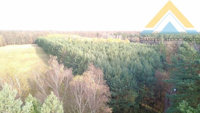 Działka leśna w Chłopowie 3,24 ha , 230 tys.!