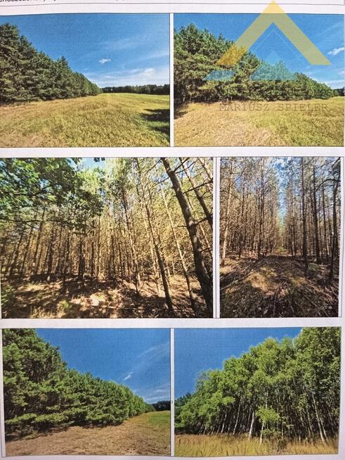 Działka leśna w Chłopowie 3,24 ha , 230 tys.!