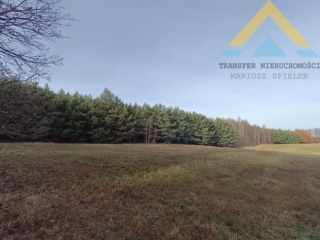 Działka leśna w Chłopowie 3,24 ha , 230 tys.!
