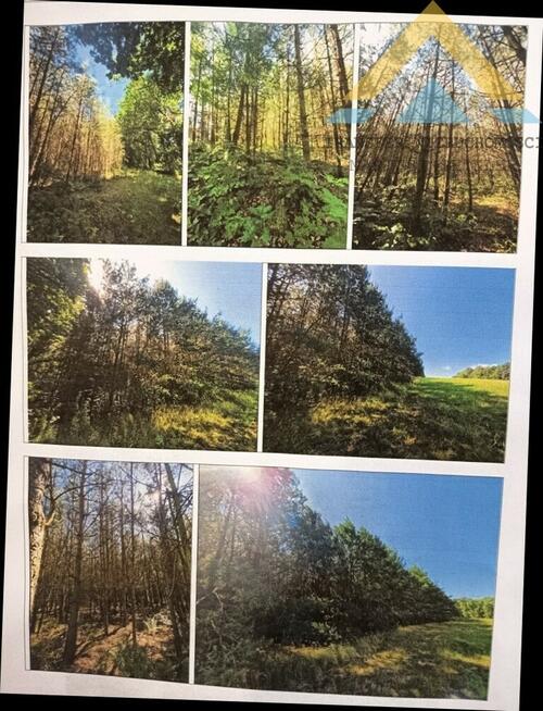 Działka leśna w Chłopowie 3,24 ha , 230 tys.!