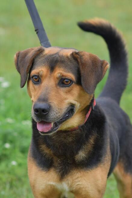 Kruger - czuły i oddany