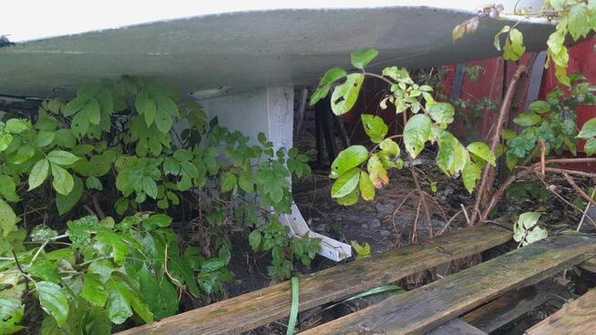 Housebat/Hausbot – 9 osób – zarejestrowany