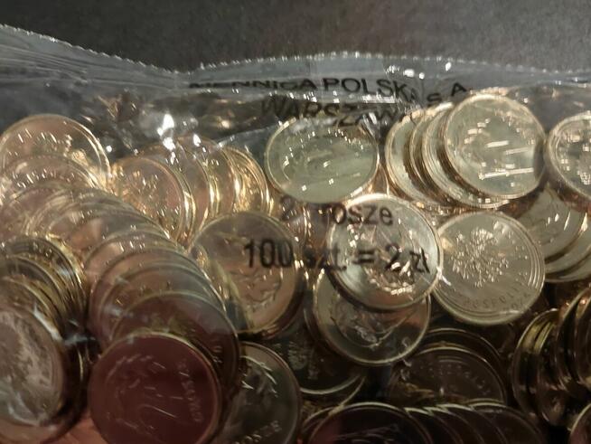 2 grosze gr 5 groszy gr 2024 woreczki mennicze