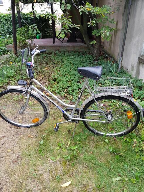 Rower damka Jaguar de Lux